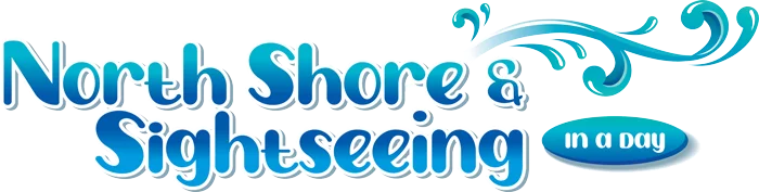 NSBB-LOGO-PNG