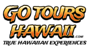gotours-logo